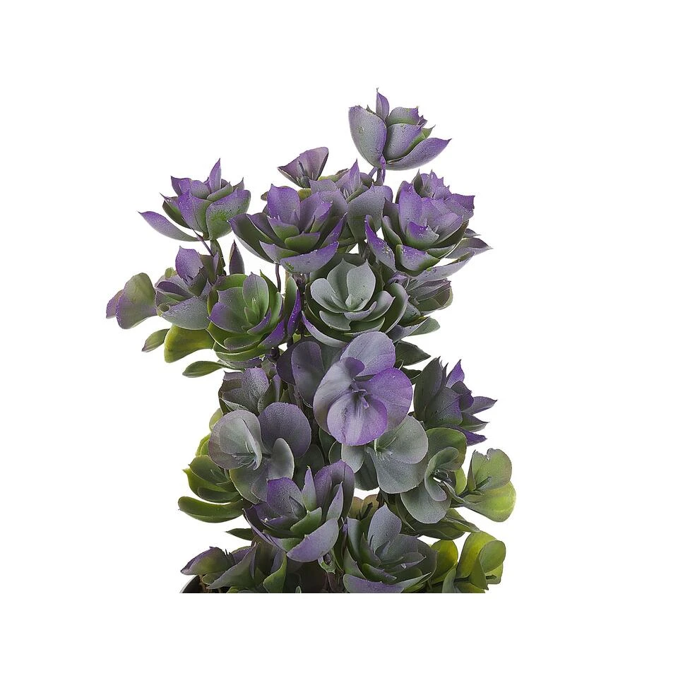 Beliani Kunstplant HOUSELEEK - Groen Synthetisch Materiaal 4 Beliani Kunstplant HOUSELEEK - Groen Synthetisch Materiaal - Afbeelding 4