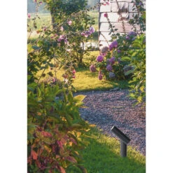 Lucide TATUM - Tuinspot Buiten - LED - 1x4,5W 3000K - IP65 - Antraciet -Huishoudelijke Voorwerpen Winkel 1000046874 0103