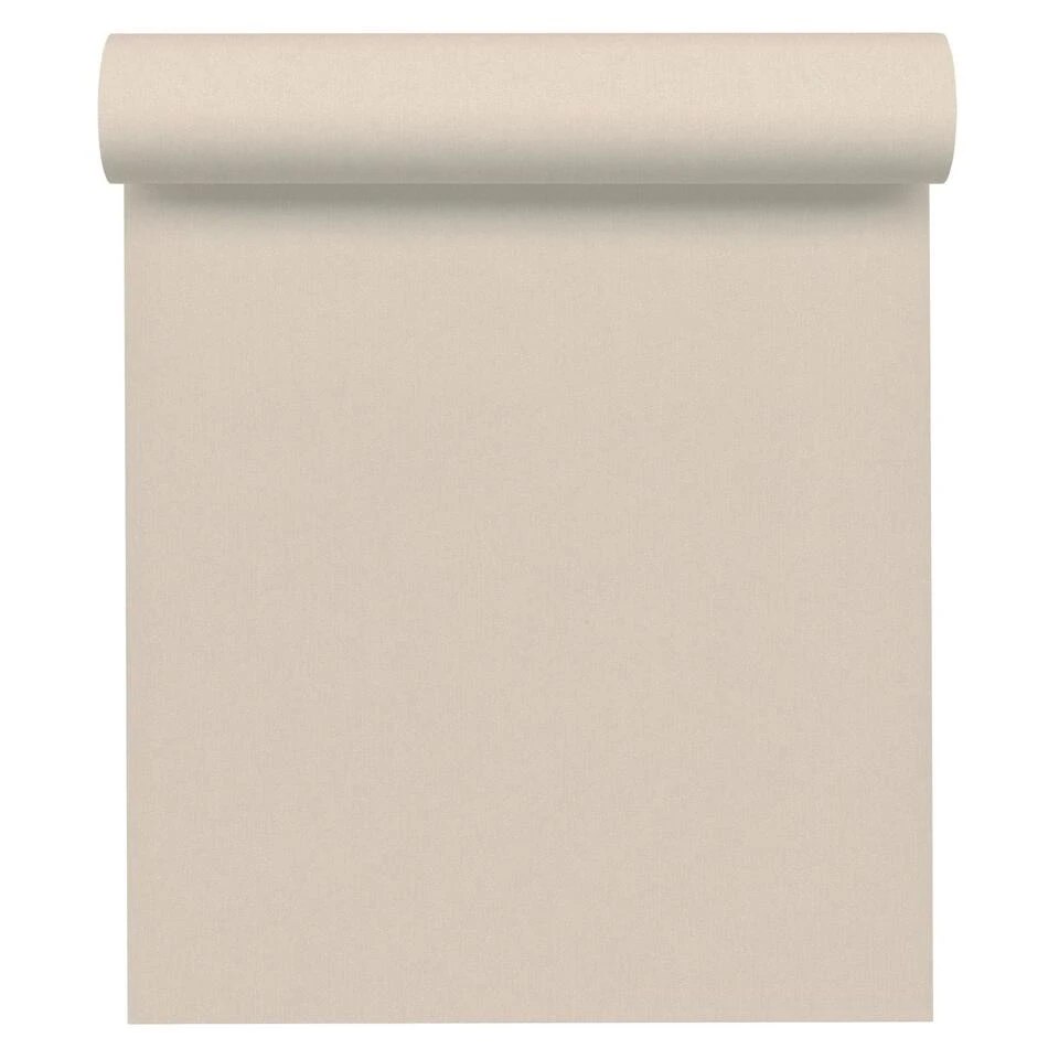 A.S. Creation A.S. Création Behang - Effen - Warm Grijs - 53 Cm X 10,05 M - AS-343936 3 A.S. Creation A.S. Création Behang - Effen - Warm Grijs - 53 Cm X 10,05 M - AS-343936 - Afbeelding 3