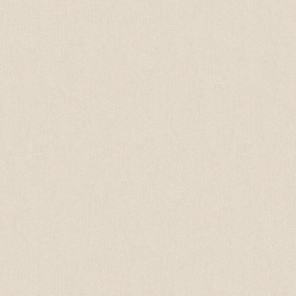 A.S. Creation A.S. Création Behang - Effen - Warm Grijs - 53 Cm X 10,05 M - AS-343936 1 A.S. Creation A.S. Création Behang - Effen - Warm Grijs - 53 Cm X 10,05 M - AS-343936