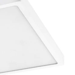 EGLO Fueva 1 Opbouwlamp - LED - 40 Cm - Wit -Huishoudelijke Voorwerpen Winkel 1000076793 0101