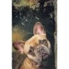 SarinArt Schilderij Bulldog - Aluminium