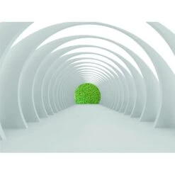 Sanders & Sanders Fotobehang - Figuratief Motief - Wit En Groen