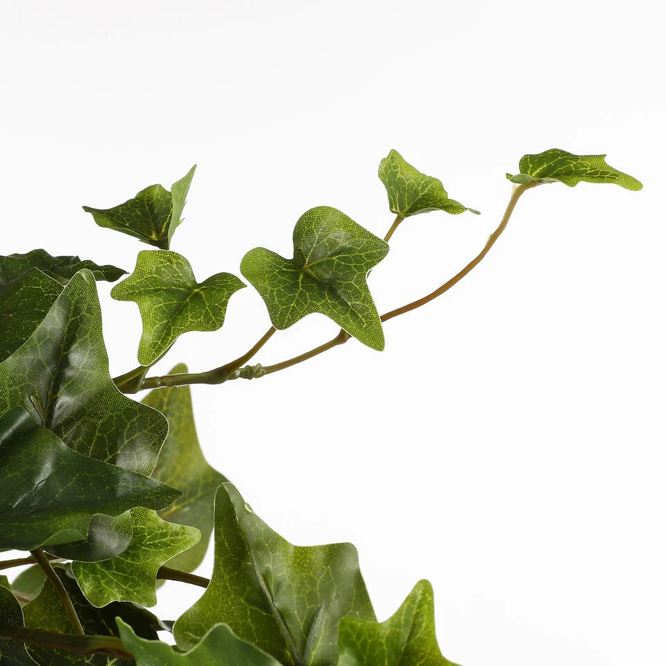 Mica Decorations Hedera Kunstplant Hangend 129 Cm Groen 3 Mica Decorations Hedera Kunstplant Hangend 129 Cm Groen - Afbeelding 3