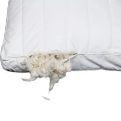 Polydaun Hoofdkussen First Kapok - 60x50 Cm 6 Polydaun Hoofdkussen First Kapok - 60x50 Cm -Huishoudelijke Voorwerpen Winkel 81024519 9000